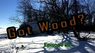 Day of Cutting Wood