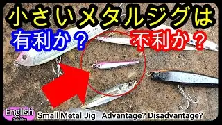 Small Metal Jig  advantage? Disadvantage?  BOZLES TG TOKICHIRO Underwater Footage