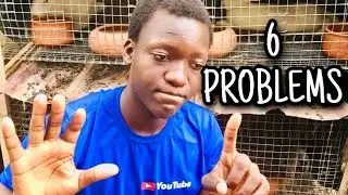 MOST COMMON  Rabbits Breeding Problems | And Their Solutions