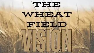 The Wheat Field Vision