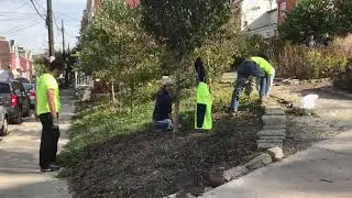 Tree Tenders Lawrenceville