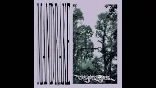 Vayuljel - Mandrake