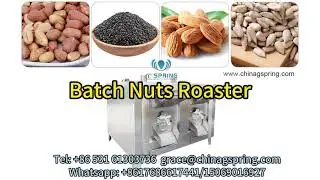 professional manufacturer roasted peanut machine#roasted peanut machine