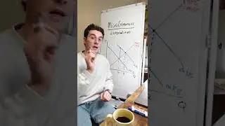 Внешние эффекты на графике &mdash; обзор итогового экзамена по микроэкономике #репетиторство #учебноеру...