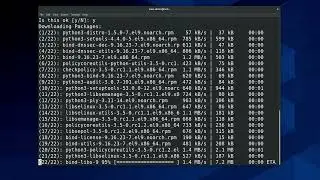 Introduction to DNS servers