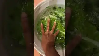 Winter Harvest &ndash; Kale, Radishes & Chinese Cabbage ASMR