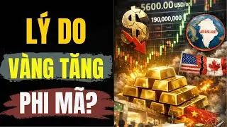 H&oacute;a ra đ&acirc;y l&agrave; l&yacute; do gi&aacute; v&agrave;ng tăng cao: Ai đang k&eacute;o cả thị trường đi&ecirc;n đảo| B&Iacute; MẬT TRIỆU Đ&Ocirc;