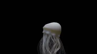 Morphologies excerpts