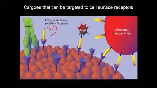 Ovarian Cancer and Tumor Targeted Fluorescent Dye