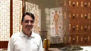 Foreign TCM practitioner on how Chinese culture is key to China's success