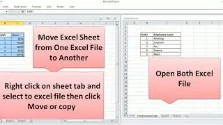Move Excel Sheet from One Excel file to Another