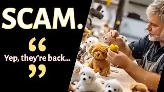 Froplay AI Puppy Review, Fake &lsquo;AI Robot Dog&rsquo; Scam EXPOSED!