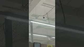 Security strobe going of in Lidl Northallerton