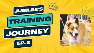 Partners Dog Training Journey | Jubilee | Ep. 2
