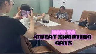 What will a day shooting cats for cat music videos for our cats? Music for Anxious, Stressed Cats!