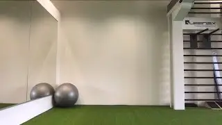 Workout H&uuml;ft Moby (ca30min)