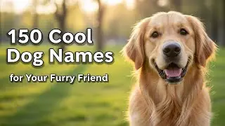150 крутых кличек для вашего пушистого друга 🐶✨