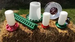 SHPF- Raising Ringneck Pheasants 0-4 Weeks Ep.4