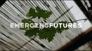 Emerging Futures Drug & Alcohol Services Hertfordshire
