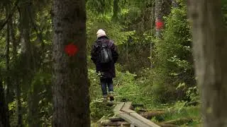 H&ouml;stlov Edens Garden - Svart&aring;dalen - Sweden