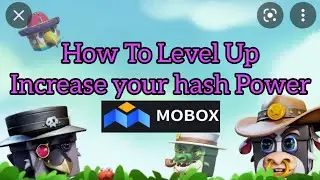 How to Level Up your Momo in MOBOX | Increase your Hash Power