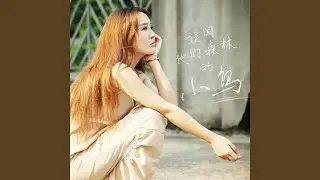 误闯他们森林的小鸟