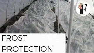 Frost Protection in Low Tunnels and Unheated Hoop House Greenhouse - Cut Flower Garden