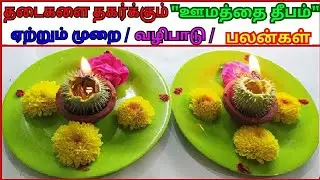 தடைகளை தகர்க்கும் 