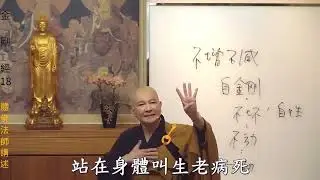 571135-1 體佛法師 金剛經 18 no ads 阿彌陀佛 感恩