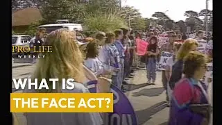 What is the FACE Act?