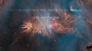 NGC 2264 Christmas tree, Cone and Fox Fur nebulae by Nicola Beltraminelli