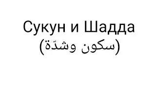 Сукун и Шадда или отсутствие звука и удвоение согласных в арабском языке