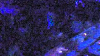 Soir&eacute;e du 13 mai 2005 avec tranceonline partie 2