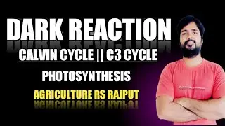 Dark Reaction | Calvin Cycle | C3 Cycle | Photosynthesis | Plant Physiology | Agriculture