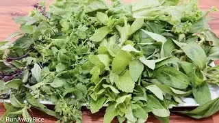A Quick Guide to Vietnamese Herbs