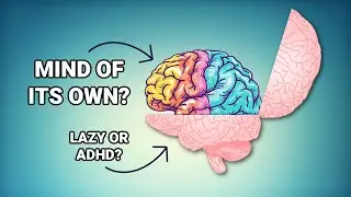 Why ADHD Memory Works Differently (It&rsquo;s Not Forgetfulness)