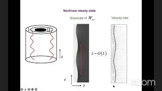 BSS2022, S. Fielding, Complex Fluids (Theory) II, July 26
