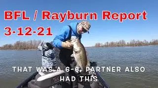 Rayburn Report 3 11 21 - Rayburn BFL Tournament