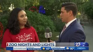 Gladys Porter Zoo Nights and Lights 2019