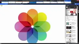 How To Show/Hide HTML Element using Javascript