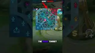 MASTER EXP LANE #шорты