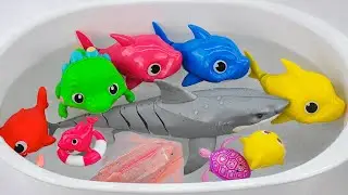 [Toy asmr] Robo Alive Shark RC & Baby Shark & Nimo Fish & Aquarium ASMR Satisfying with Unboxing