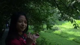 Londa tourism in Toraja