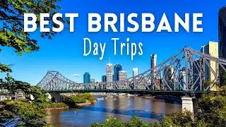 7 Best Brisbane Day Trips For Families | Beaches, Rainforests & More
