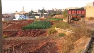 جولة الى مدشر معمران جماعة بودينار قبيلة تمسمان أقليم الدريوش 09 10 2016   MOROCCO TAMSAMAN