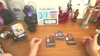 TOURO ♉️ TERÇA-FEIRA 27/01