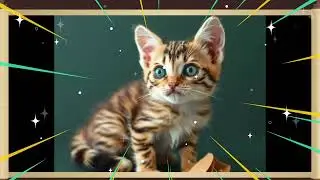 تەفسیر. ەوبینین بە پشیلە بچوک
