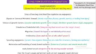 Long term blood flow regulation (Angiogenesis, collaterals). Chapter 17 part 8. Guyton and Hall Phy