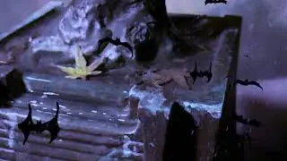 Urn Bat Cave - Tom Hunter Photography -  Video Graphics