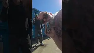 drunken banter #funny #pranks #angry #funnyshorts #automobile #funnyvideo #banter #haha #drunk